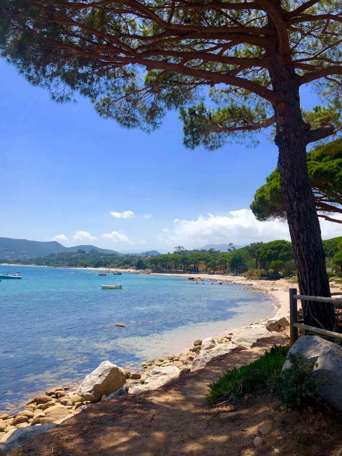 Marina di pinarello, appt climatisé à 400m de la plage Zonza Esterno foto
